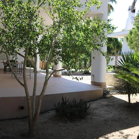 Villeriunite - Dalia