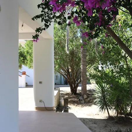 Villeriunite - Dalia Tatil Evi