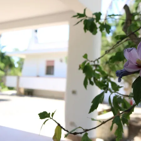 Villeriunite - Dalia Галліполі