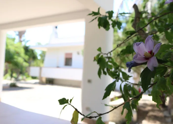 Villeriunite - Dalia Галліполі